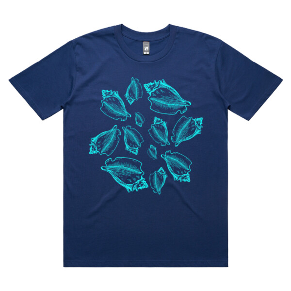 Many conches Thumbnail